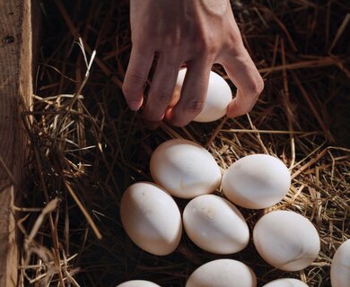 Piaceri culinari negli appartamenti, Naturno, Alto Adige