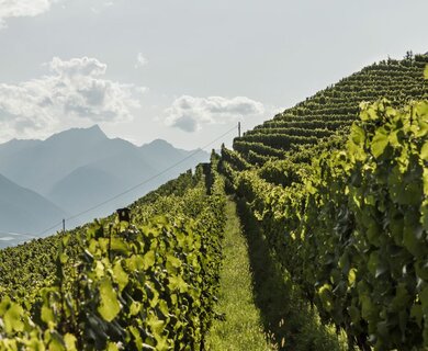 Vacanza a Naturno sul Monte del Sole, in posizione ideale