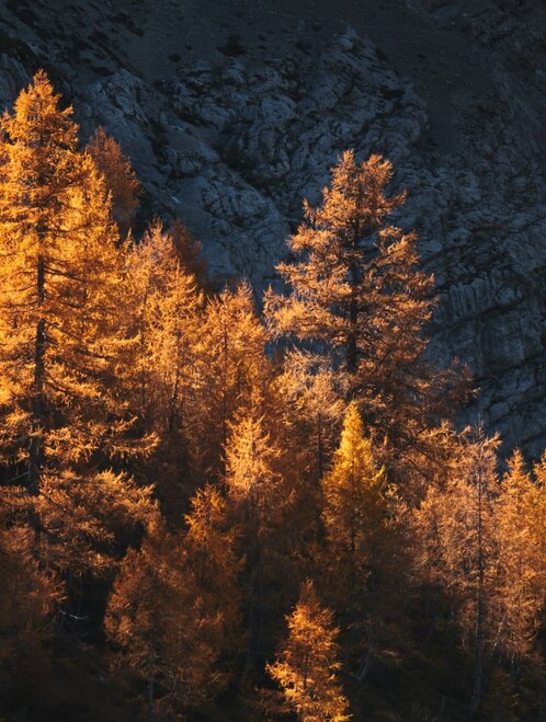 Le migliori offerte per una vacanza a Naturno, Alto Adige Le migliori offerte per una vacanza a Naturno, Alto Adige
