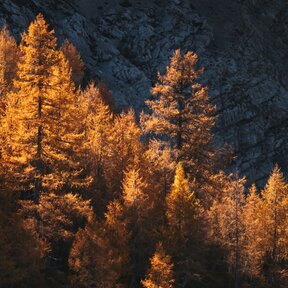 Le migliori offerte per una vacanza a Naturno, Alto Adige